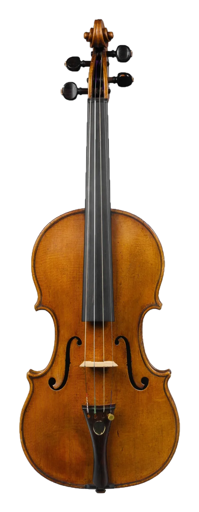 Violon ancien vu de face, vernis couleur miel
